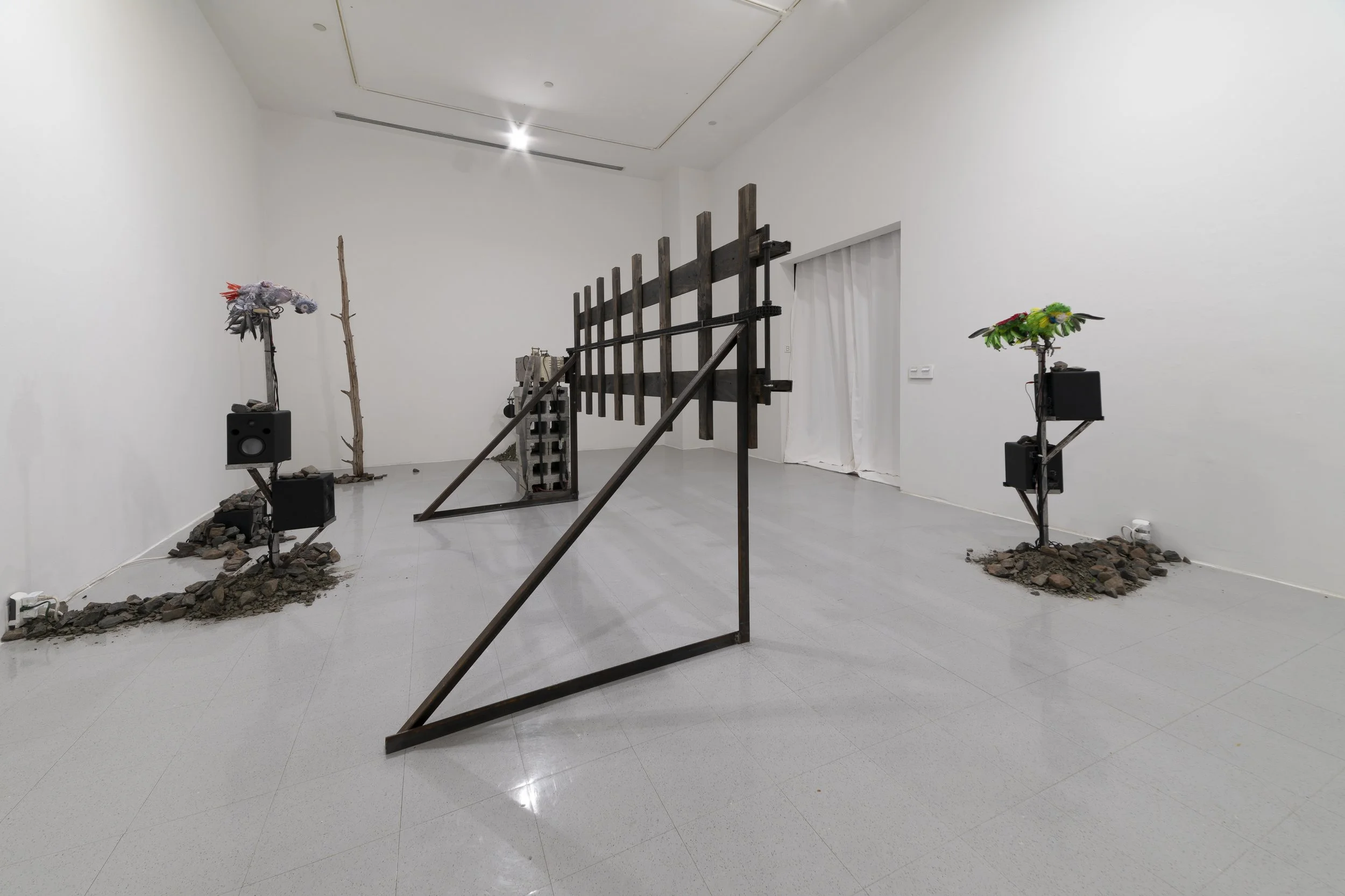  photos by Jesse Meredith. 