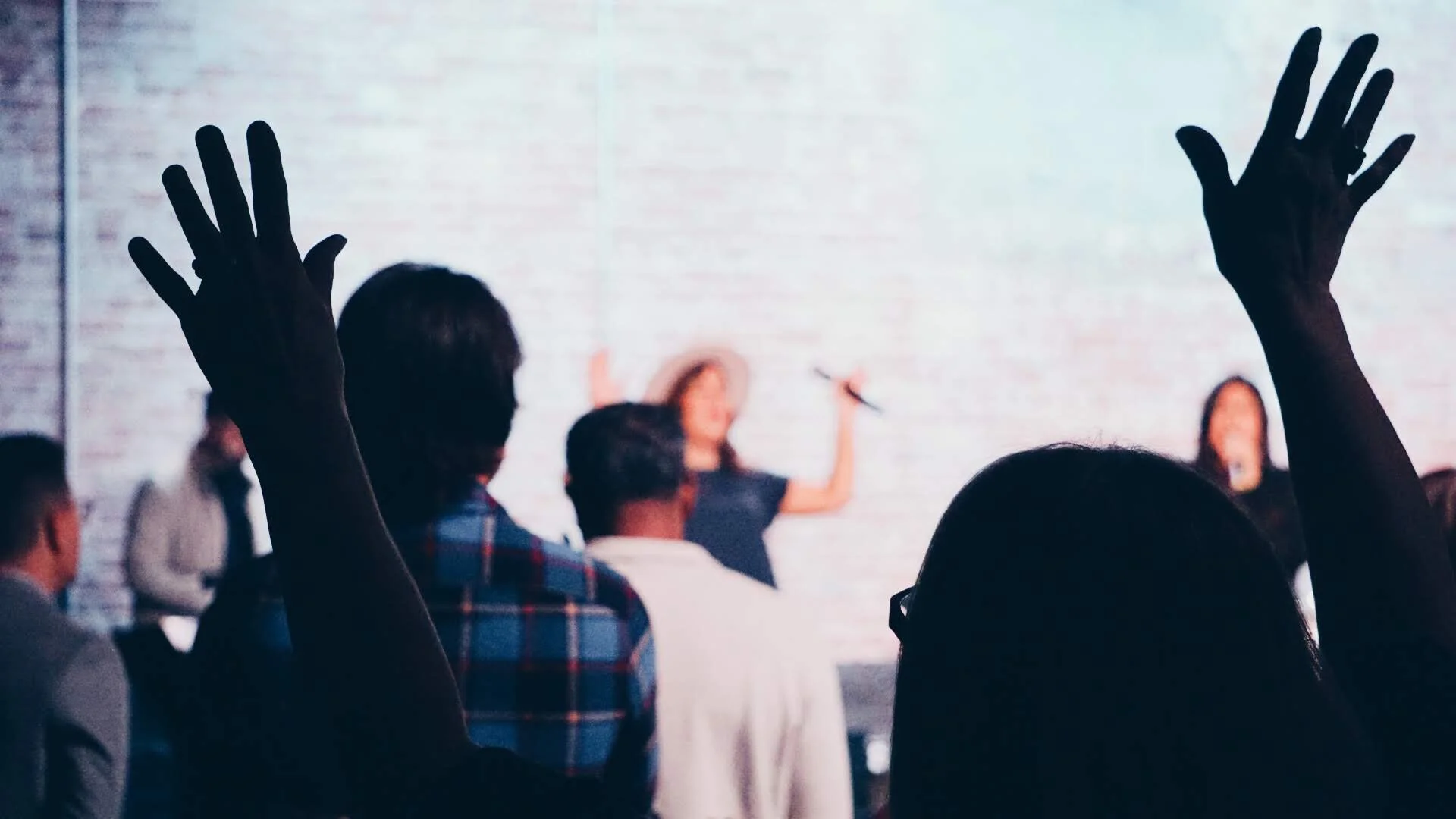 2019-11-17 04.01.54 1.jpg