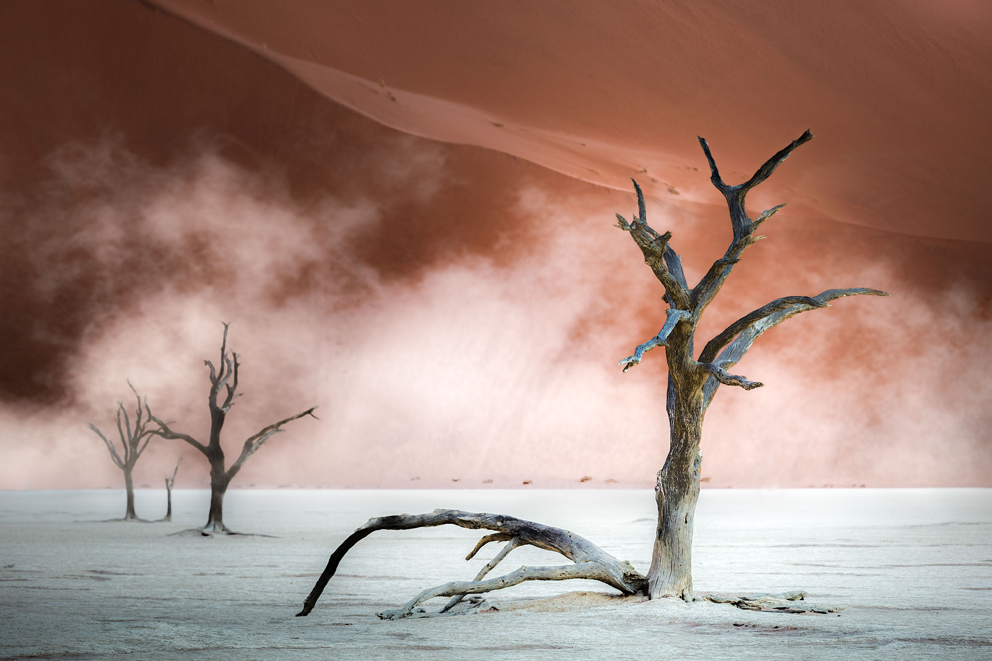 Namibia-6170-Edit-Edit.jpg