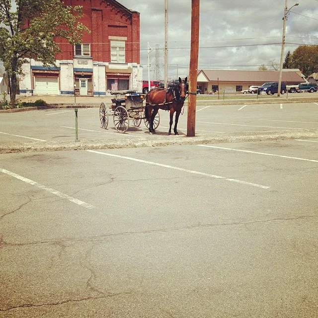 The Town of Greenville