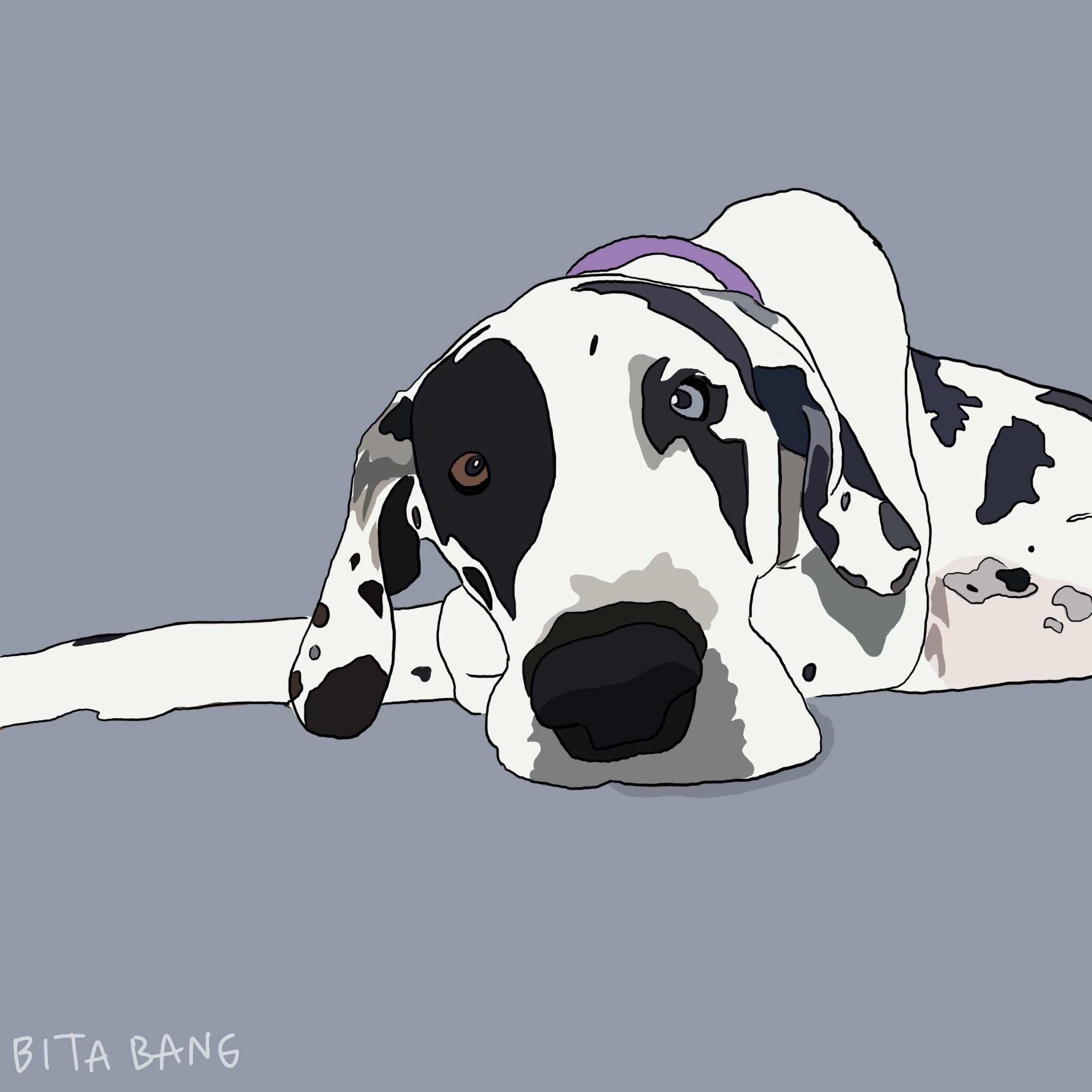 Untitled_Artwork.PNG