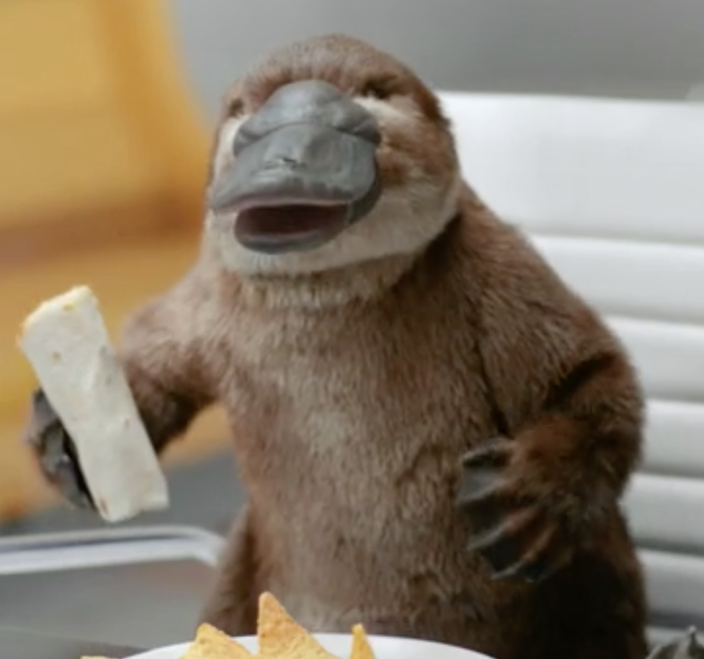  Director: Chris Woods, Recommended Media 