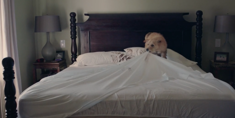 Screen Shot 2018-08-15 at 6.14.11 PM.png