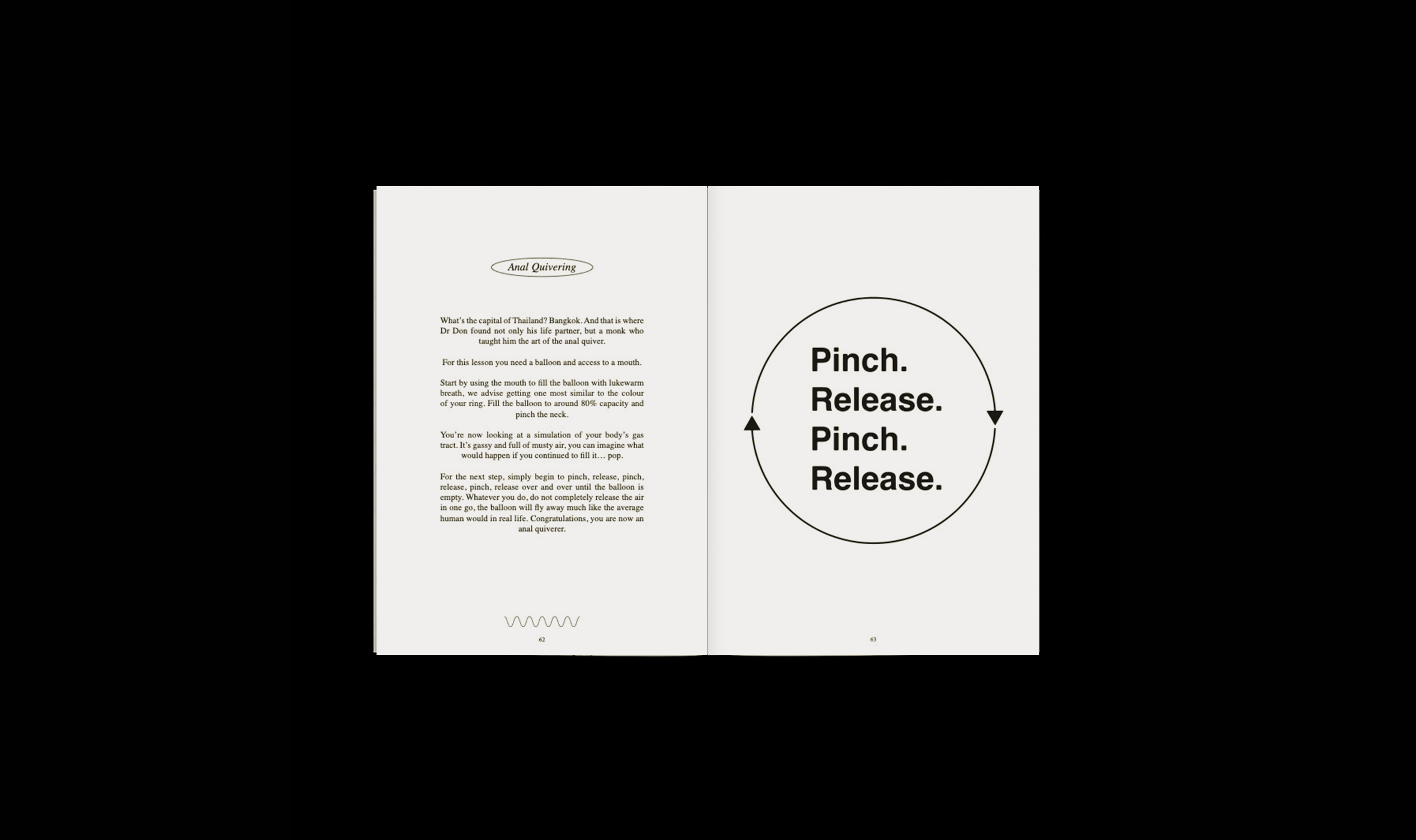    WE MADE OUR OWN COMEDY HEALTH AND WELLNESS BOOK, CALLED 'FAECAL RETENTION, THE PASSAGE TO A FULLER LIFE' (PAPERBACK COPIES AVAILABLE ON REQUEST) 