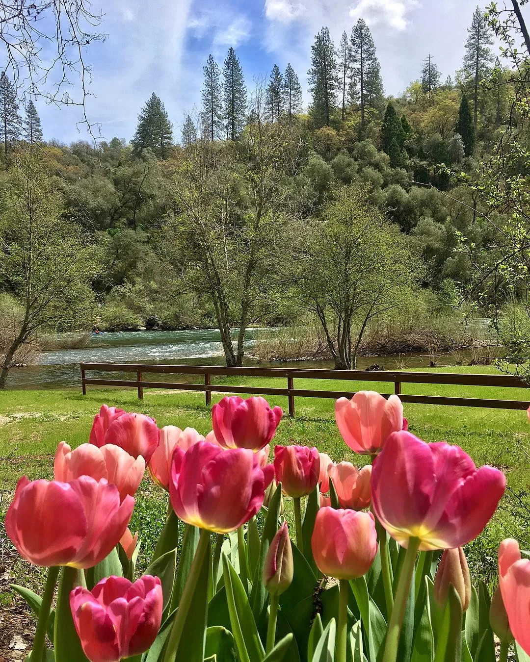 Springtime at the event venue.