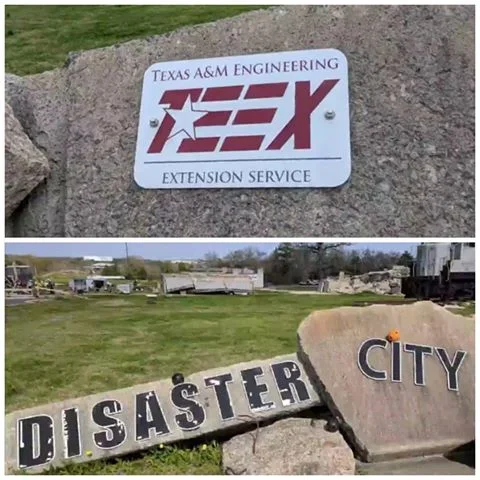 teexBounce.jpg