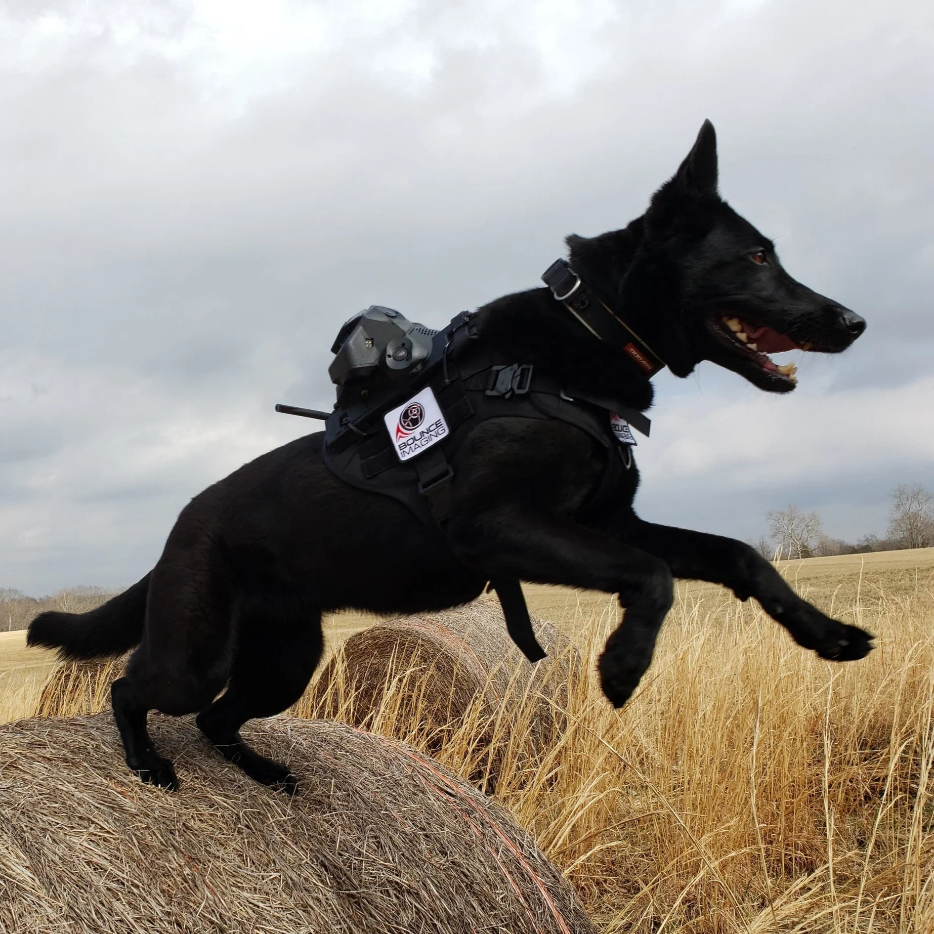 k9 camera system
