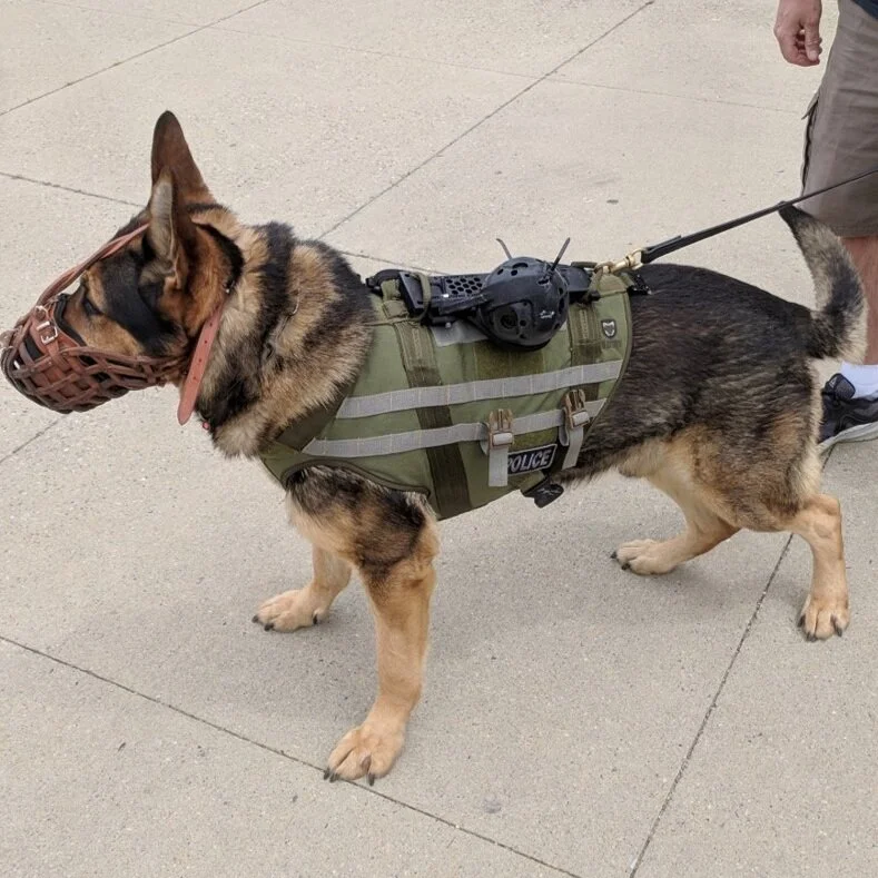 k9 camera system