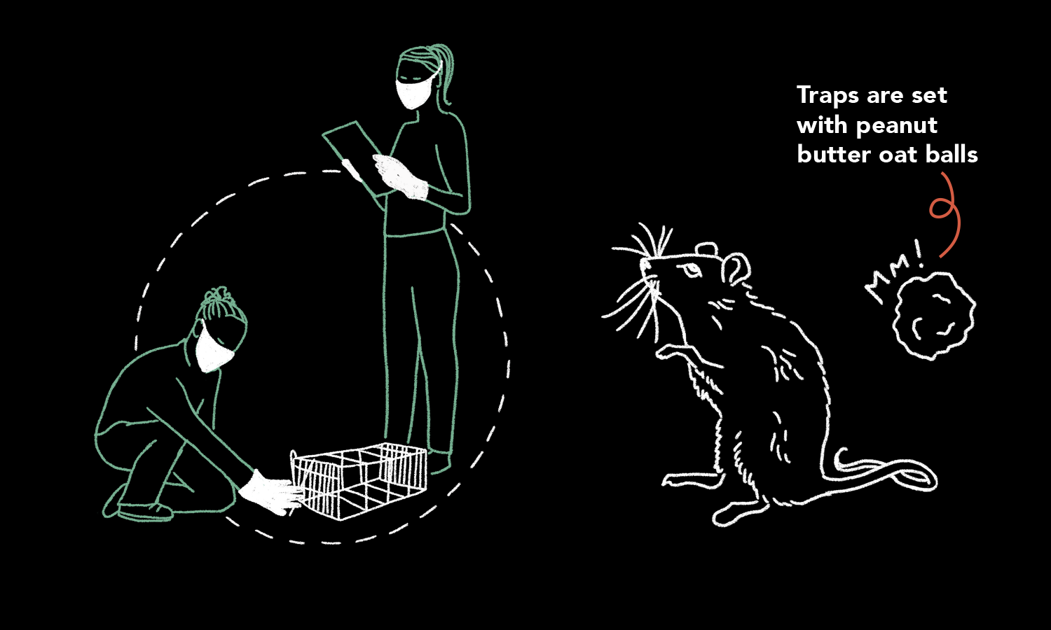 RatVan2.png