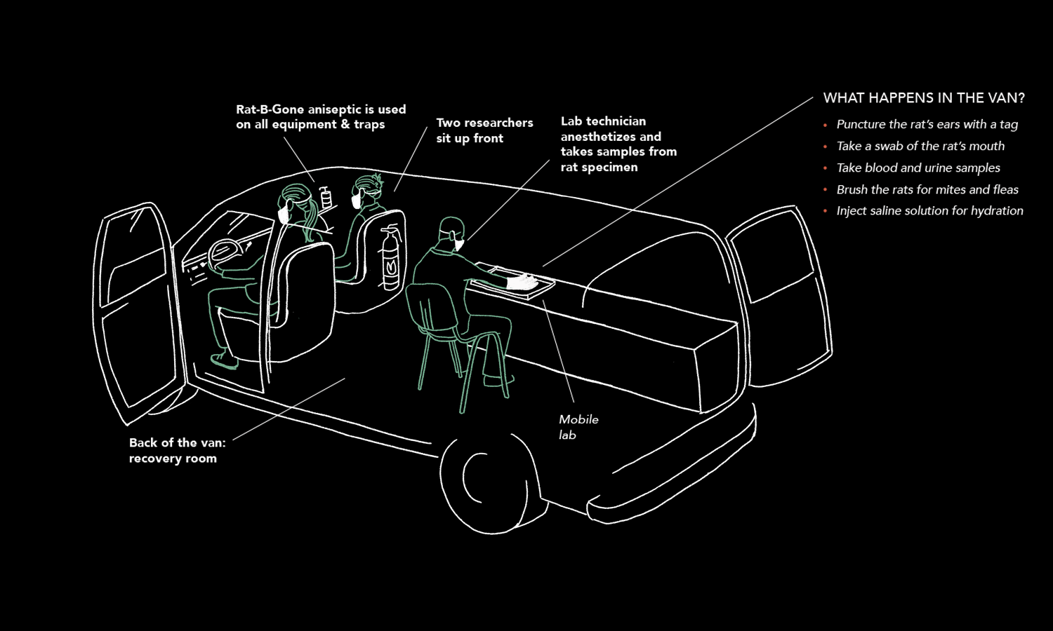 RatVan3.png
