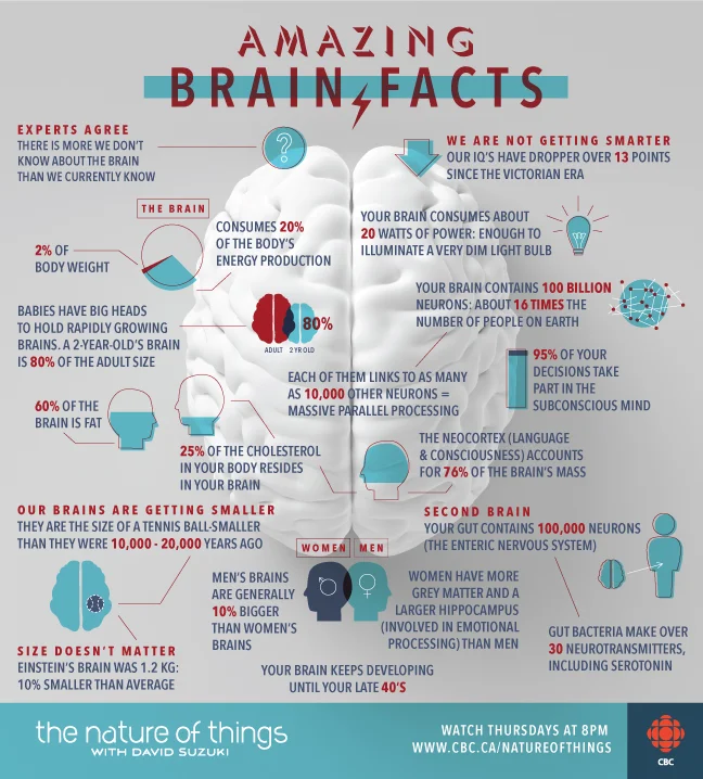 AmazingBrain.jpg