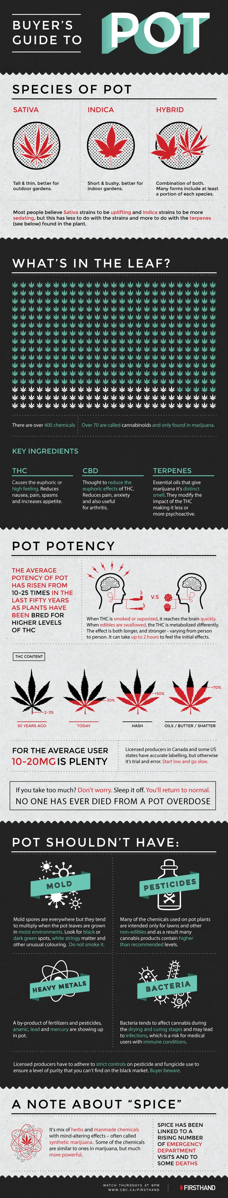 BUYERS-GUIDE-TO-POT-V1.jpg