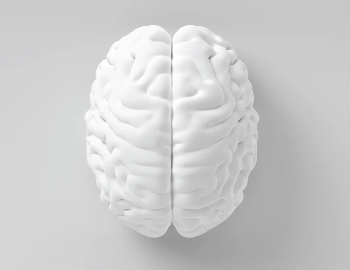 Headerbrain.jpg