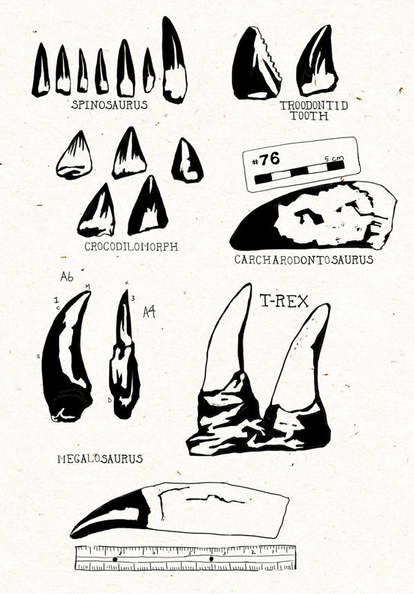 TEE-Dinotooth.jpg