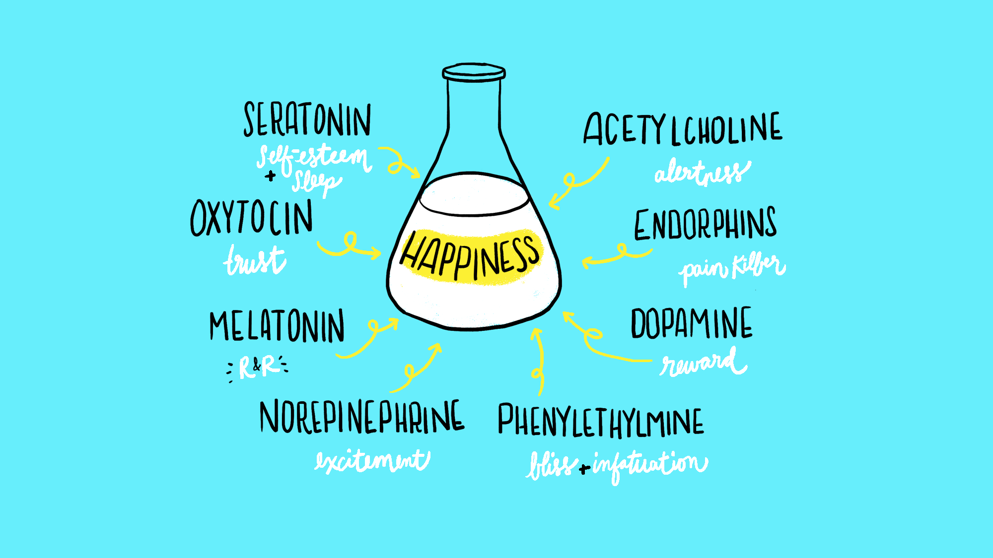 Chemicals-colour.png