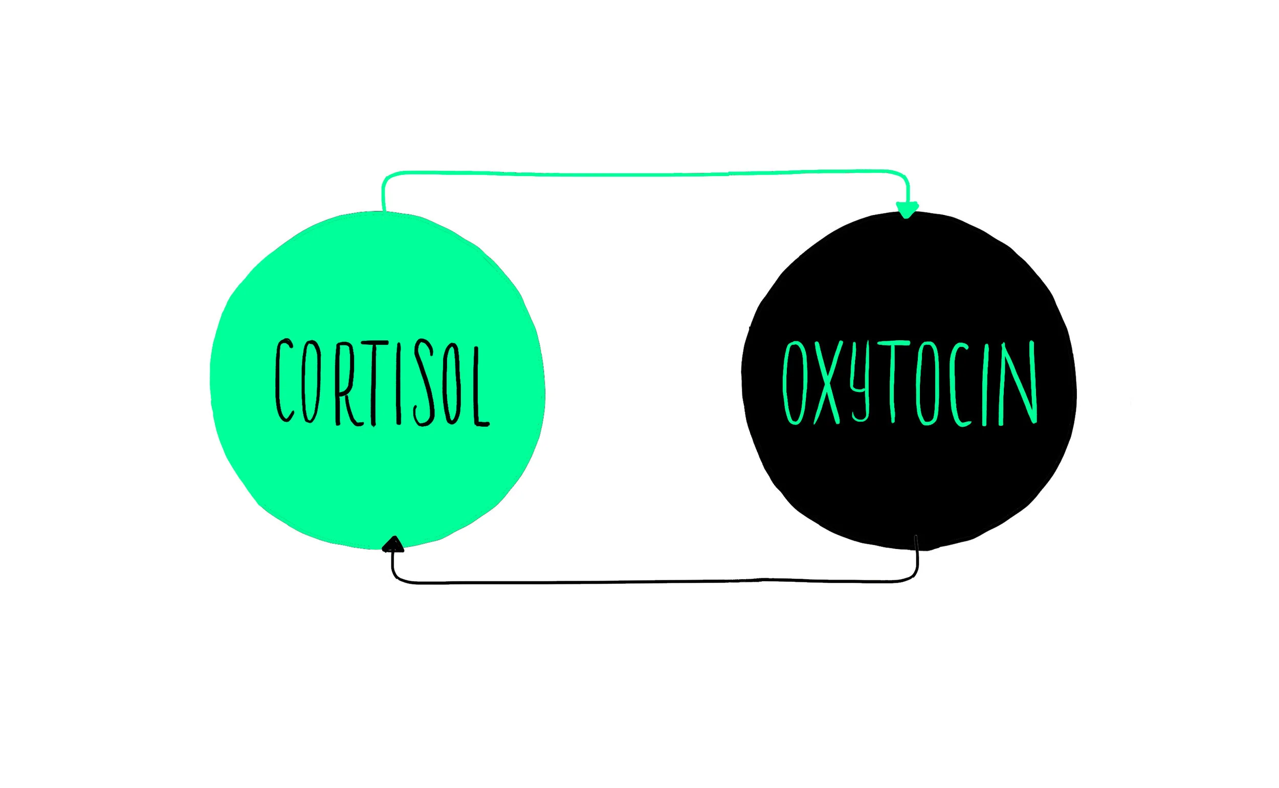 CortisolOxytocin.jpg