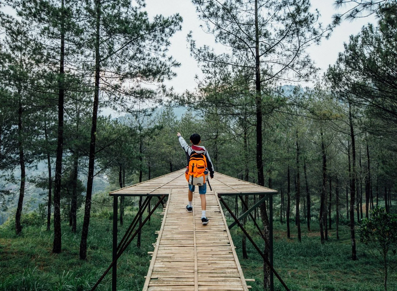 hanson-lu-UHYeuXrYPvw-unsplash+small.jpg