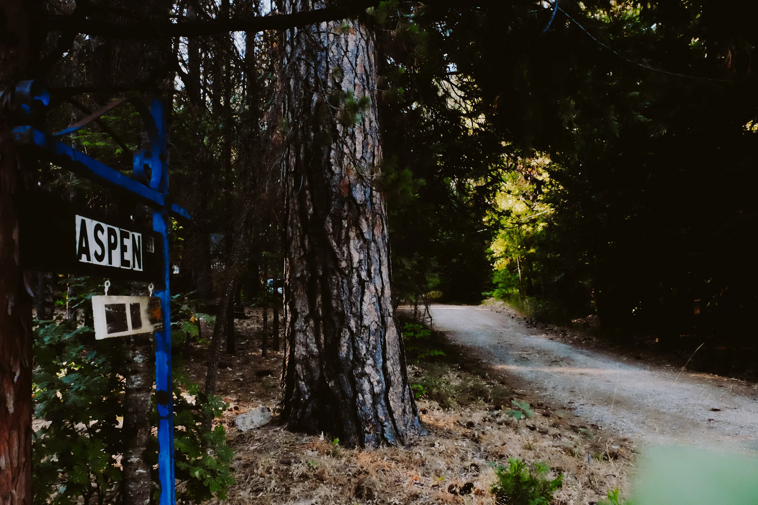 The road to my house ^
