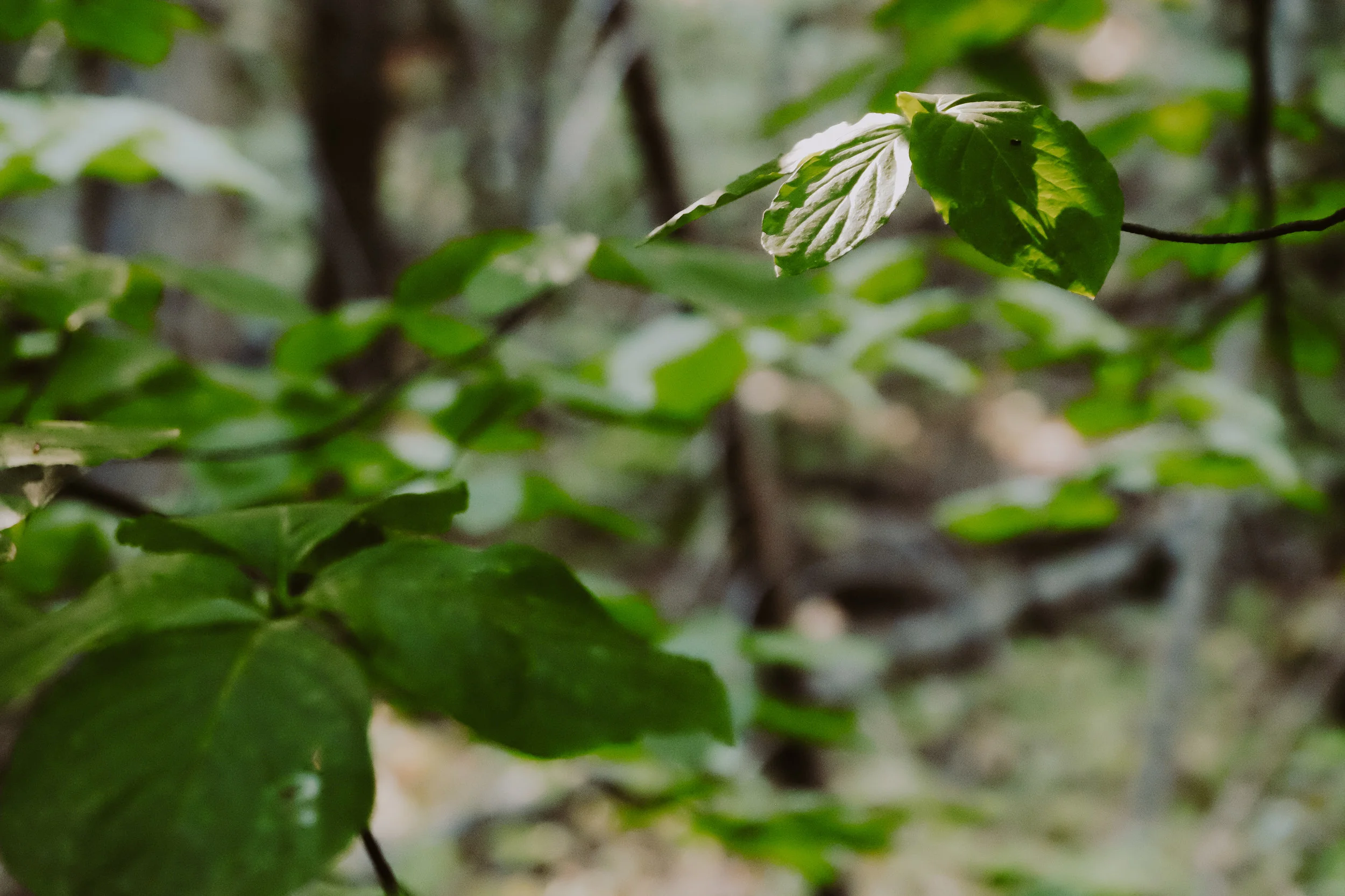 DSCF5507.jpg