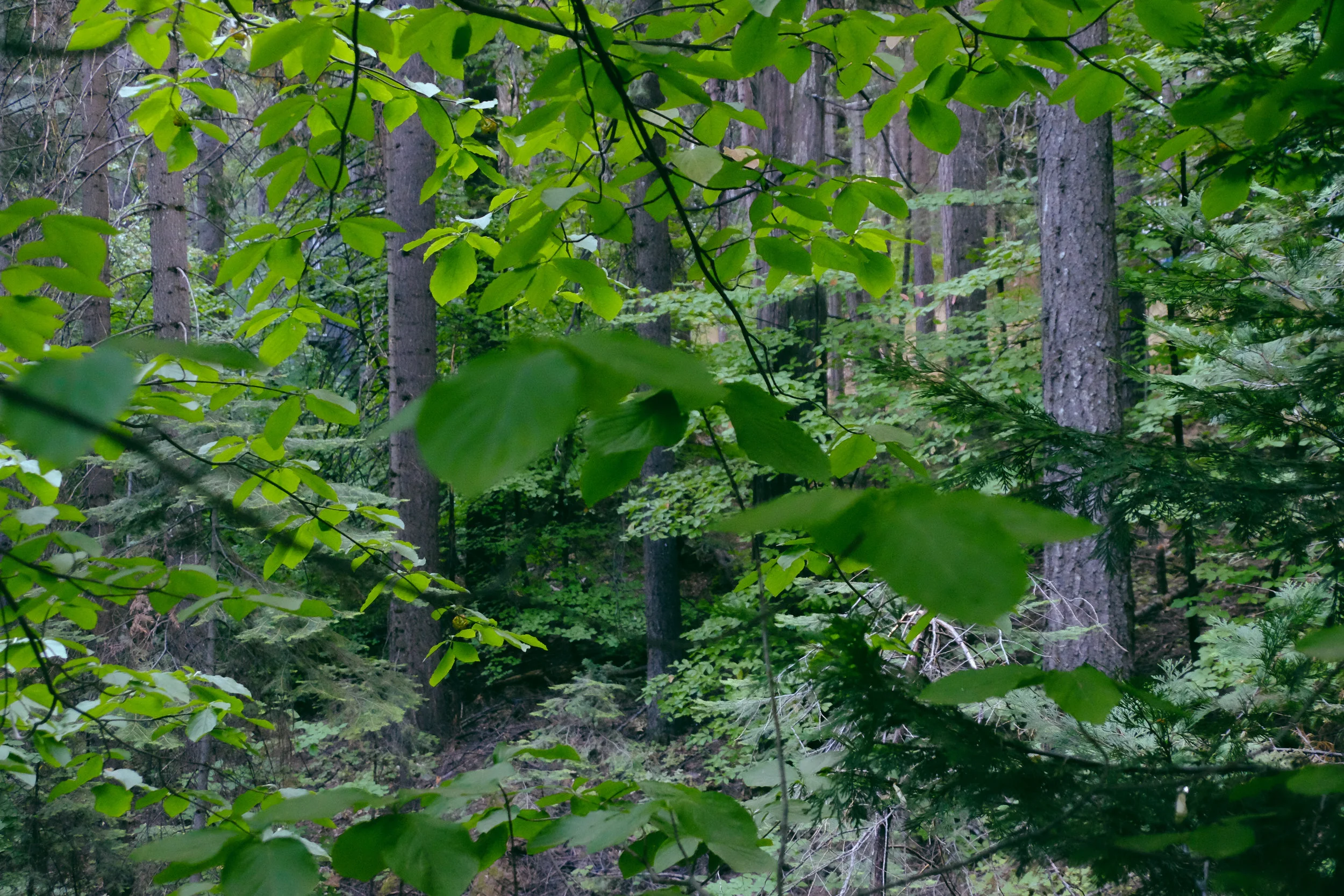 DSCF5477.jpg