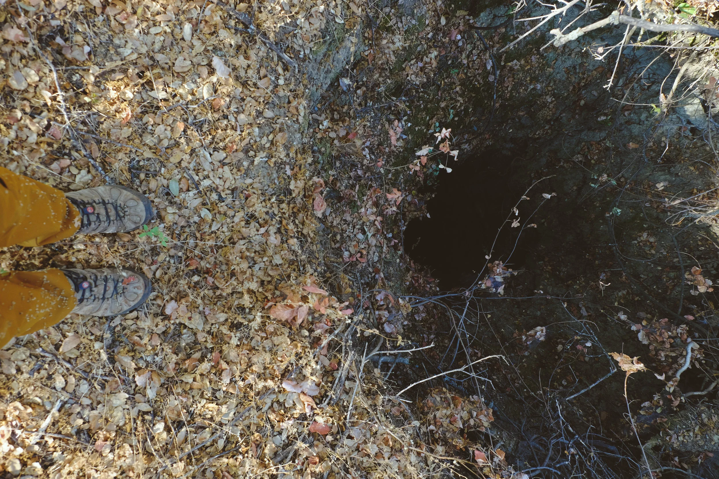 DSCF5646.jpg