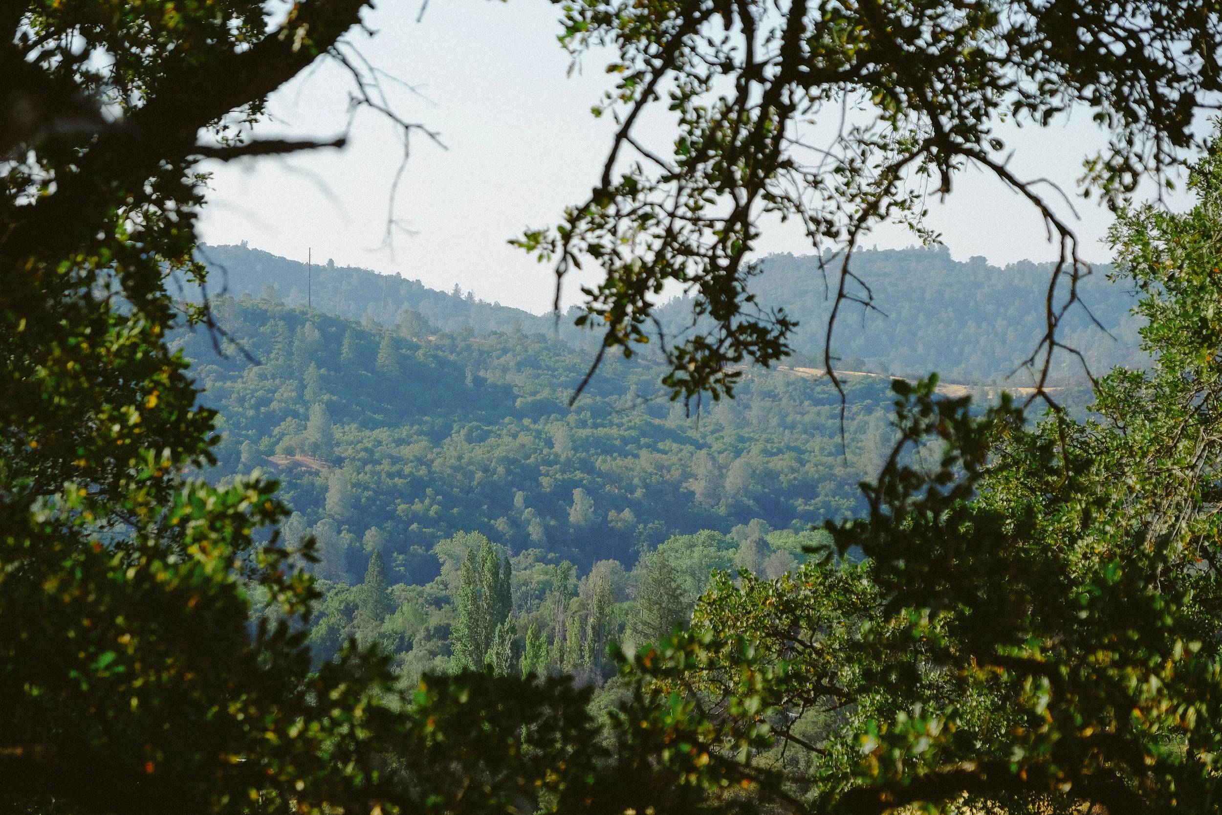DSCF5640.jpg