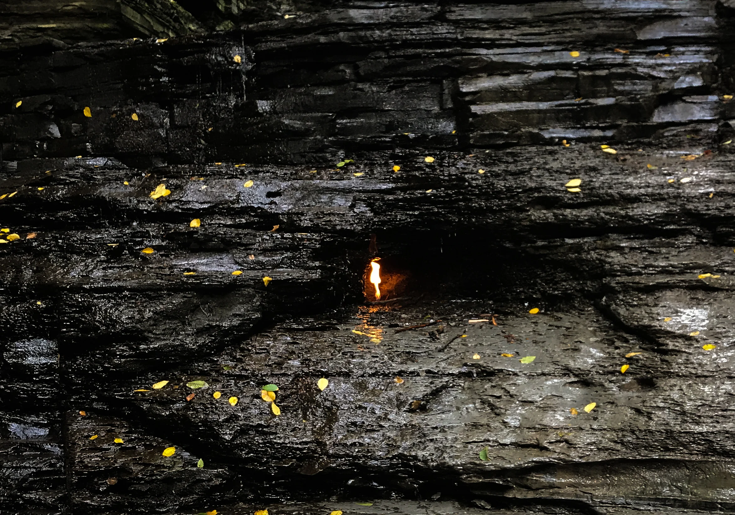Flames in the dry season