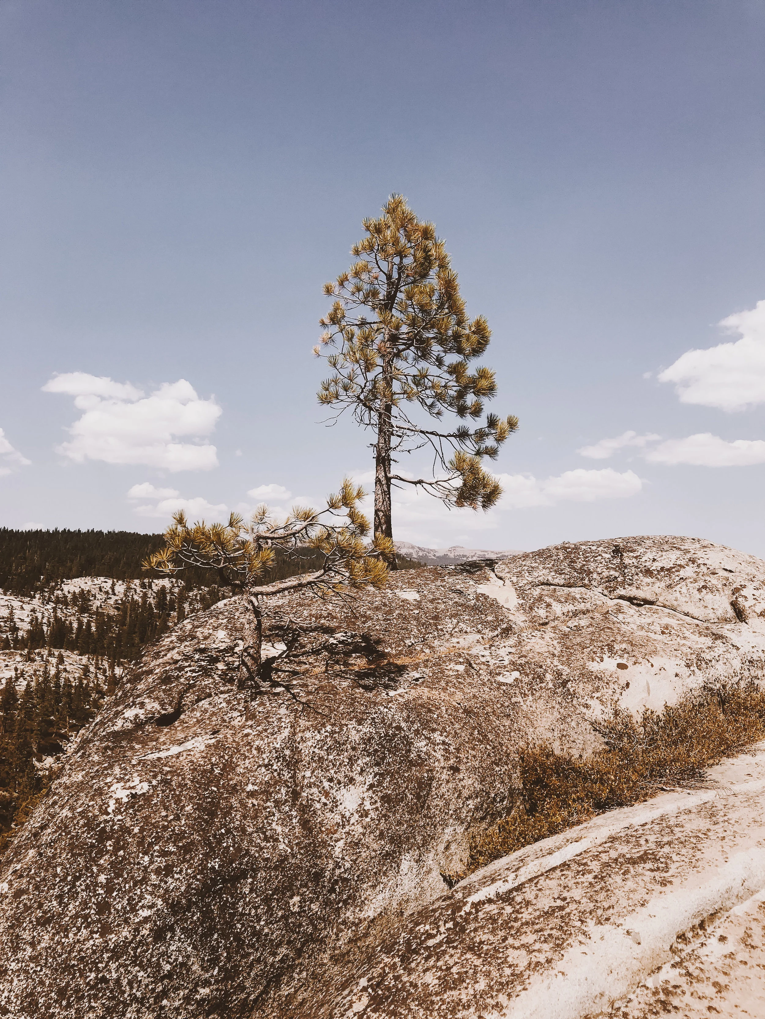 F2C0E275-A4F7-42F9-947F-2EFB66BB03D9.jpg