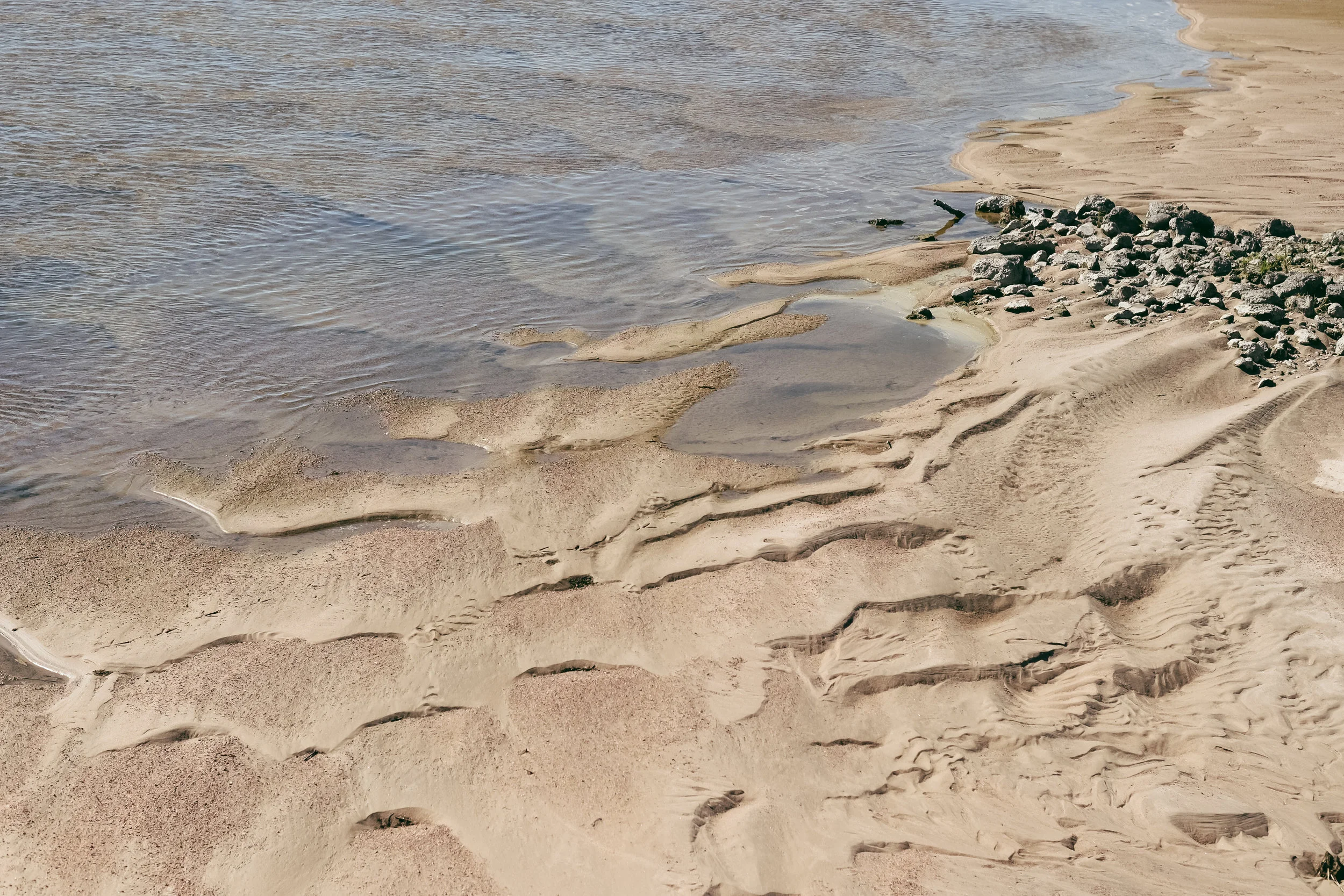 DSCF5780.jpg