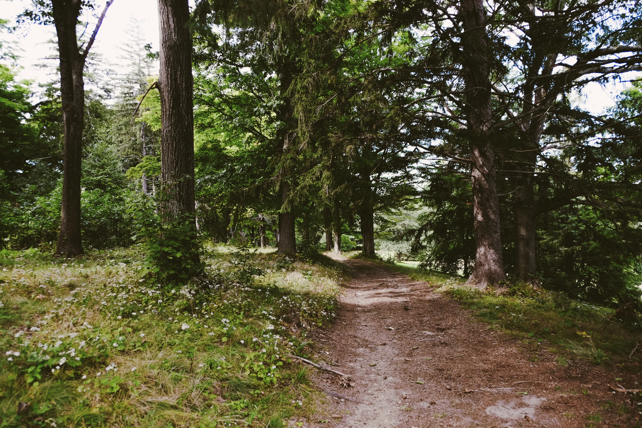 DSCF6278.jpg