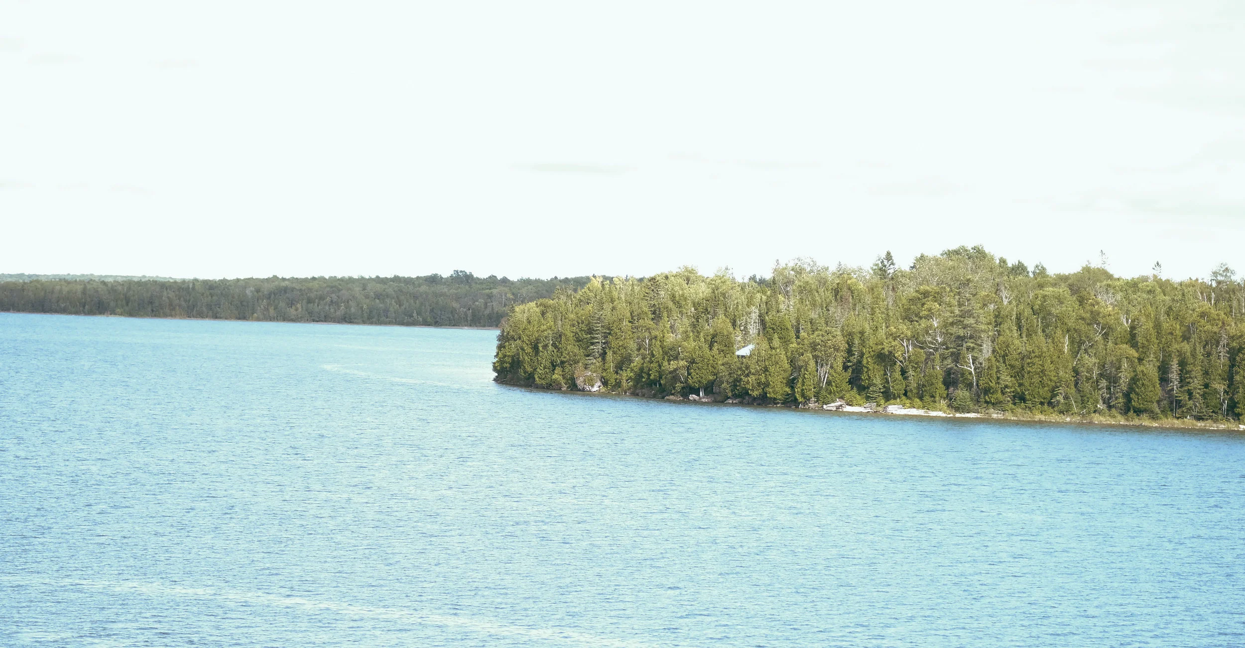 DSCF0302.jpg