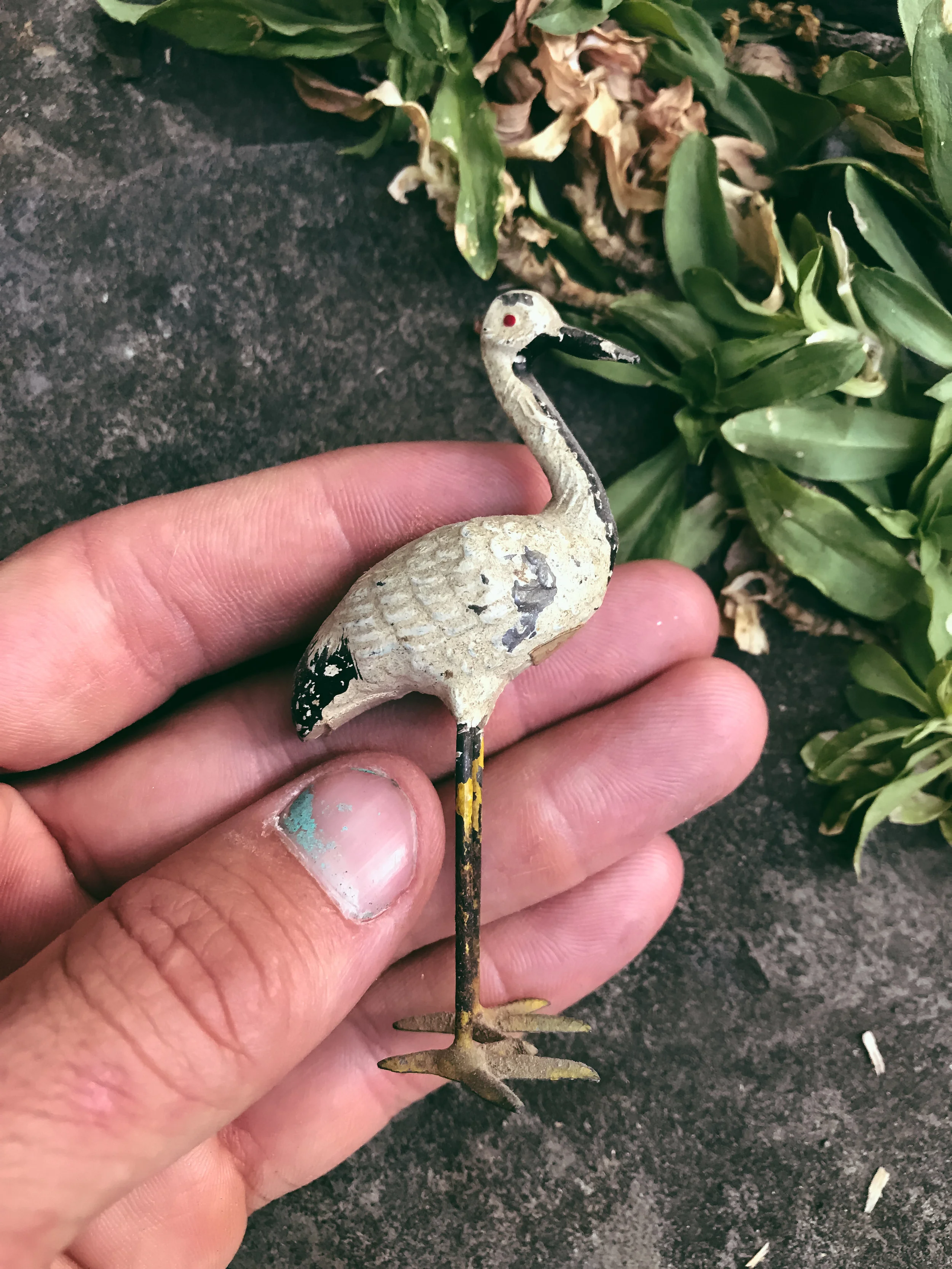 Dreams of Sandhill Cranes