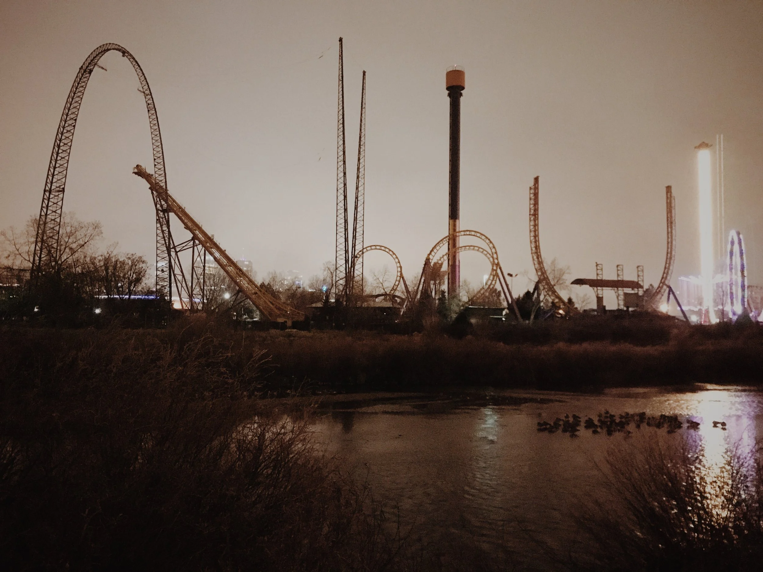 the Geese, the River, &amp; the Fox - A meditation