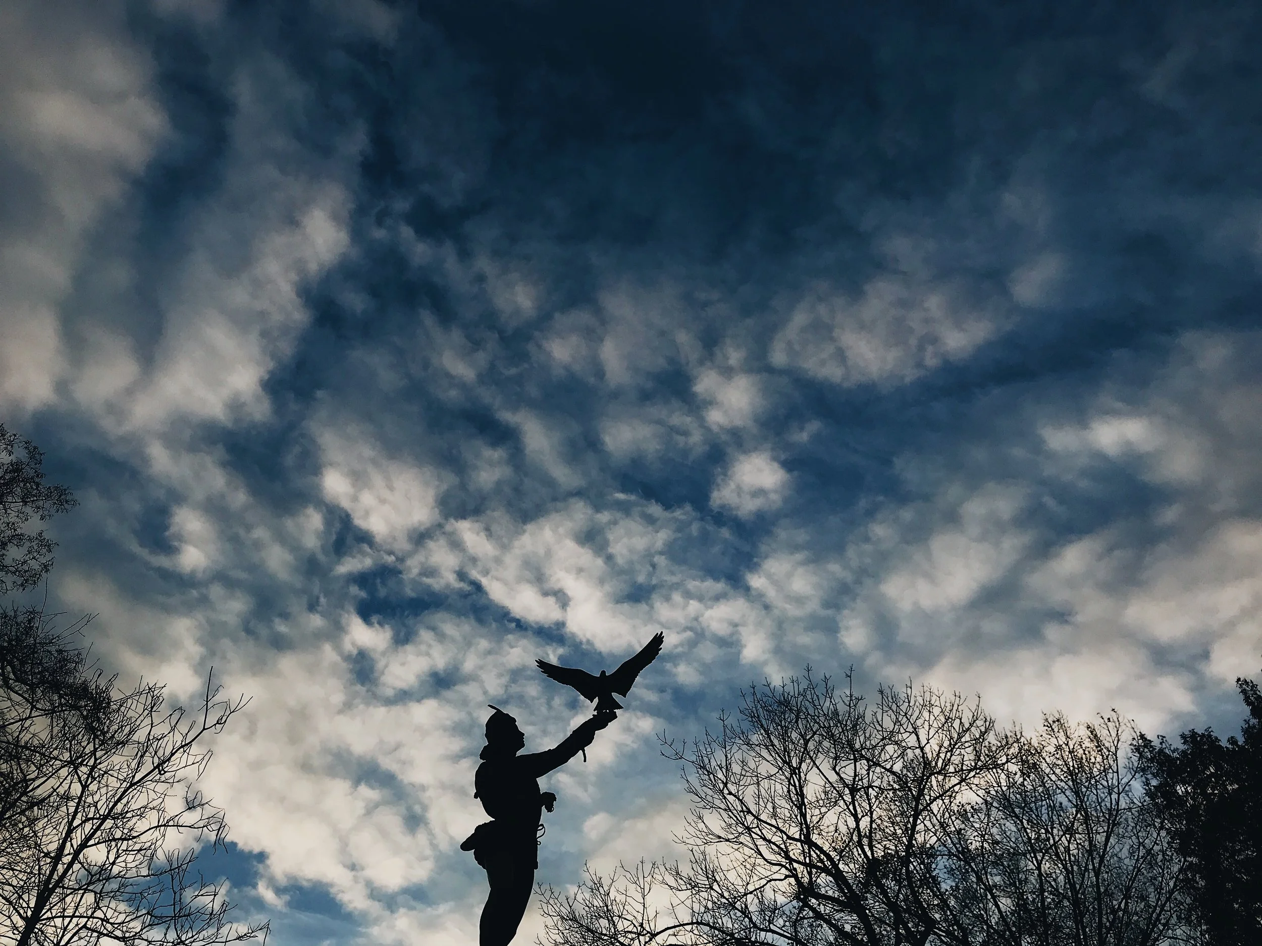 5&10 ::::: December 3rd