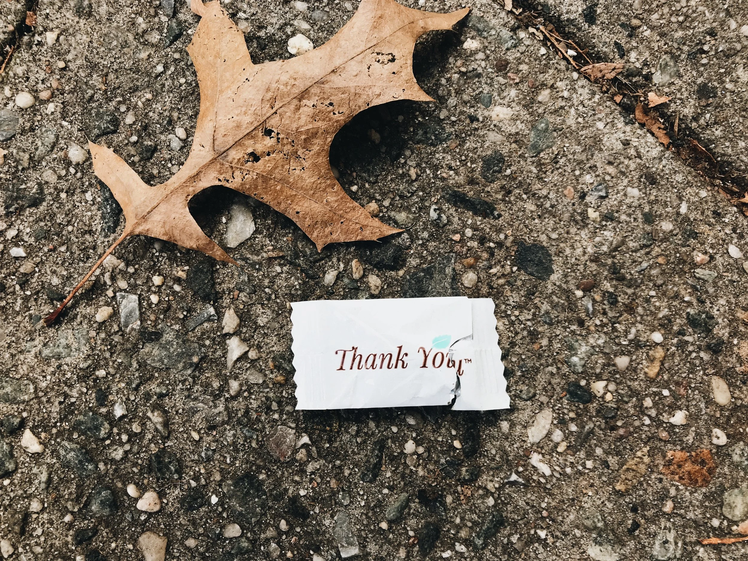 5&10 ::::: December 4th