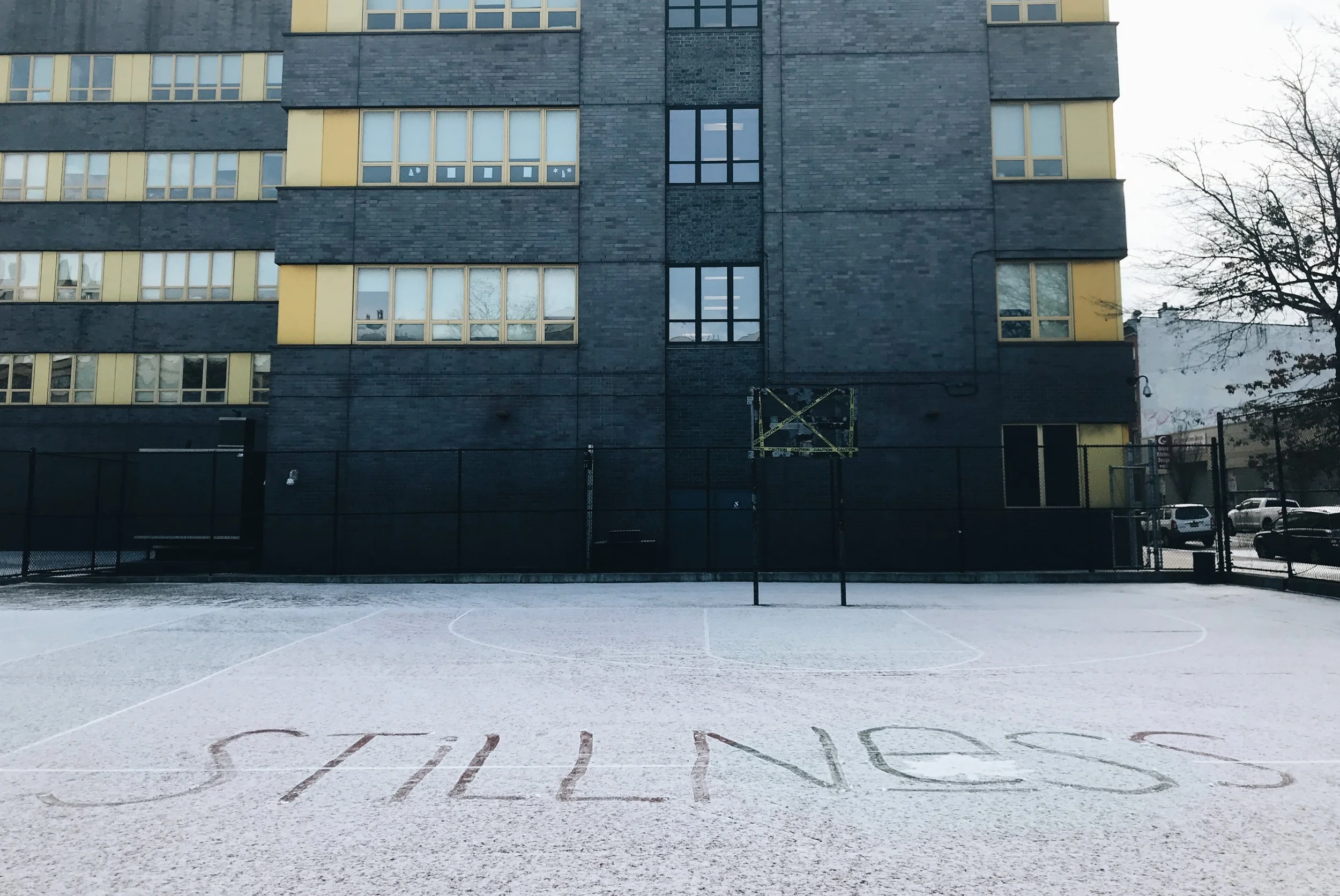 Senses of Stillness - a Meditation