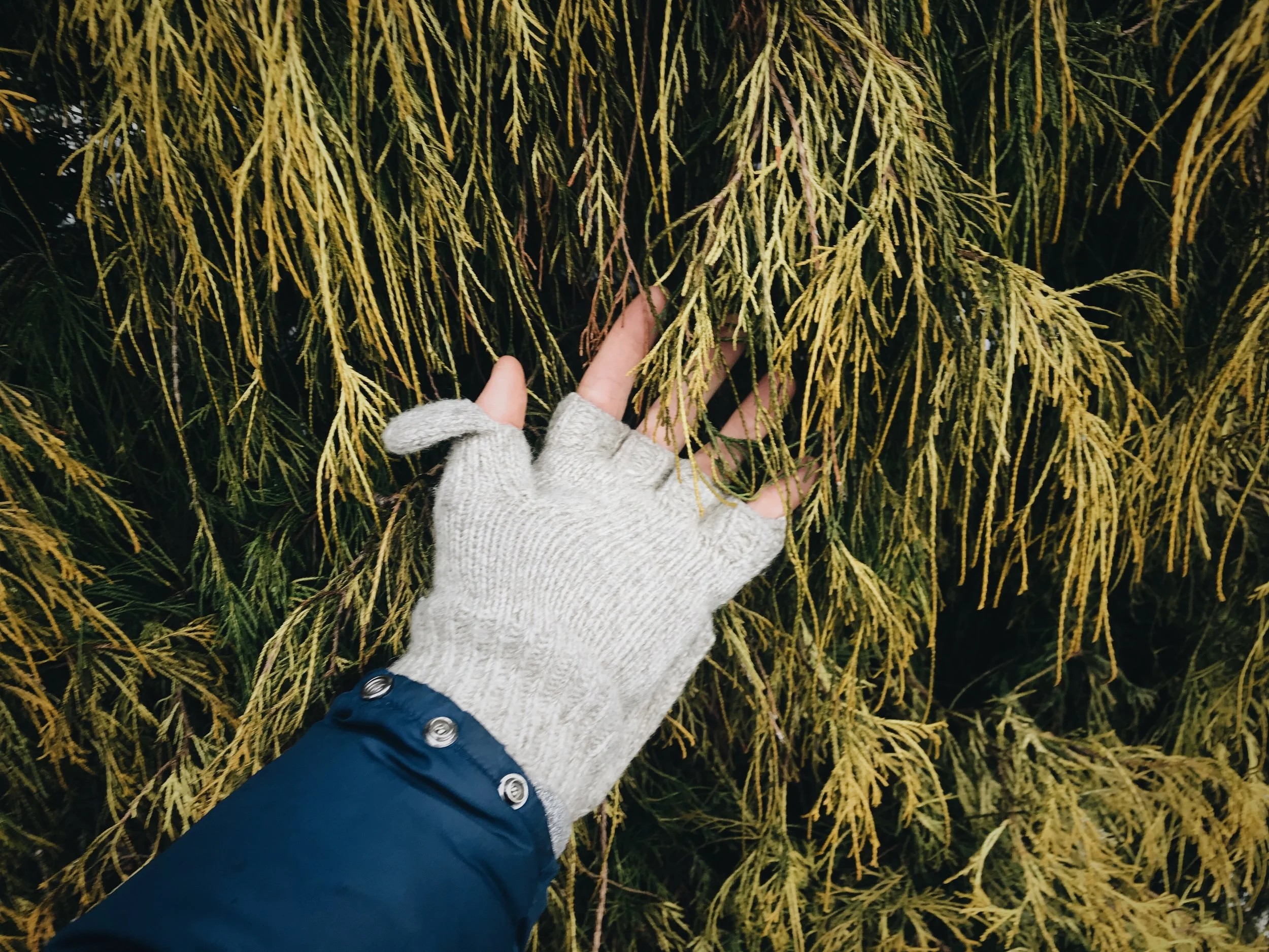 Instructions for Living a Life - A Meditation