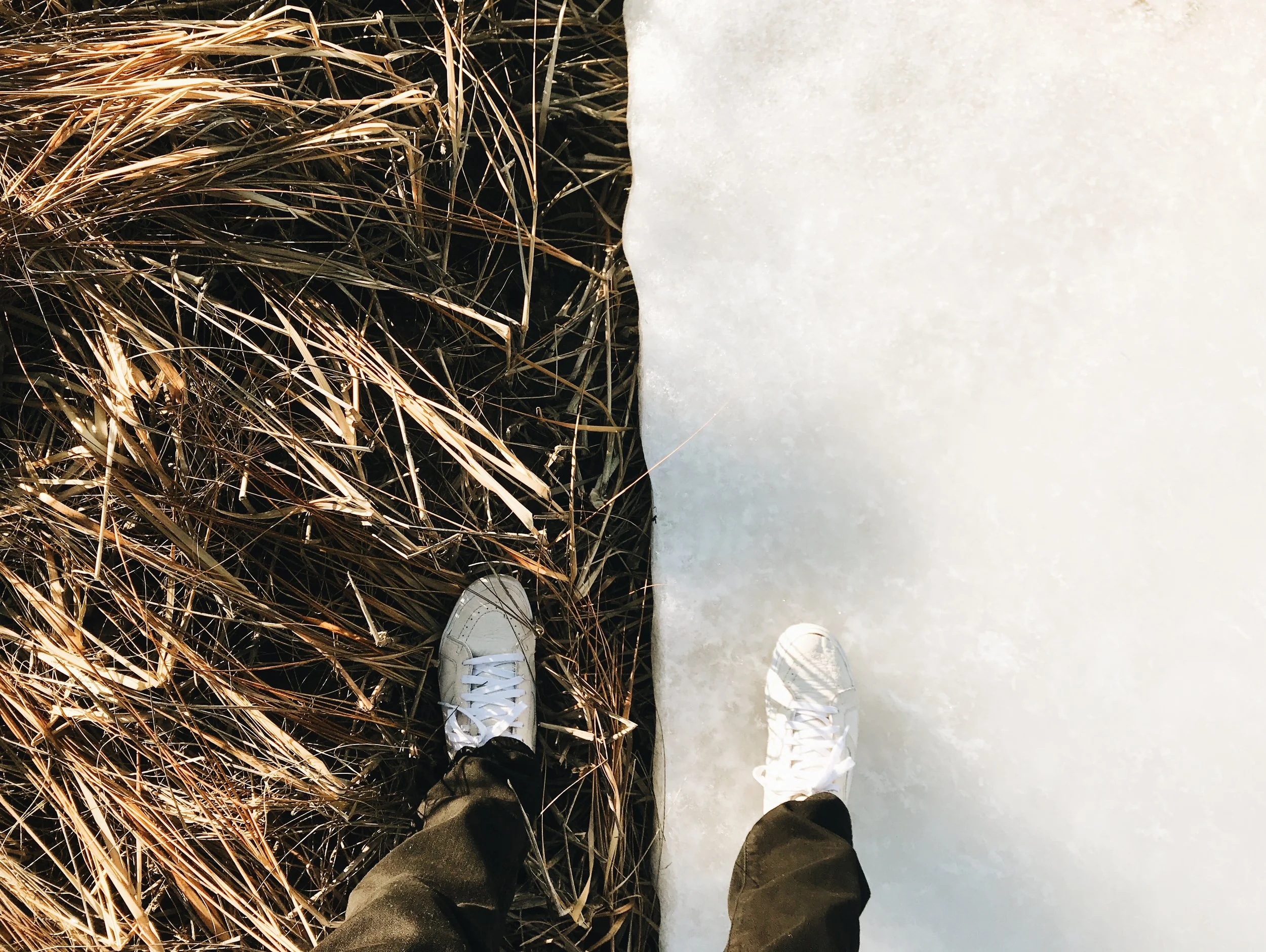 Ice Studies - A Meditation