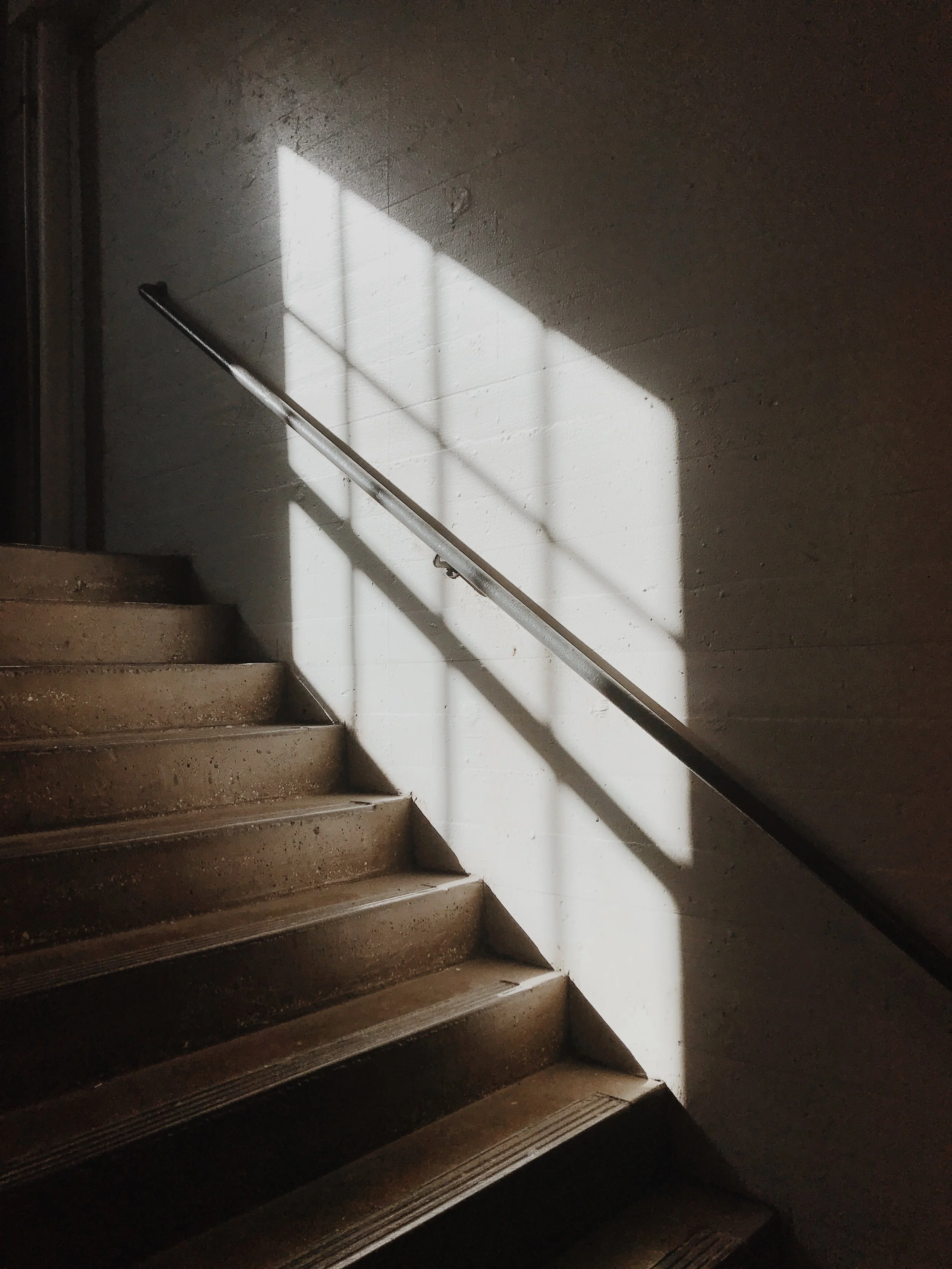 Afternoon Light