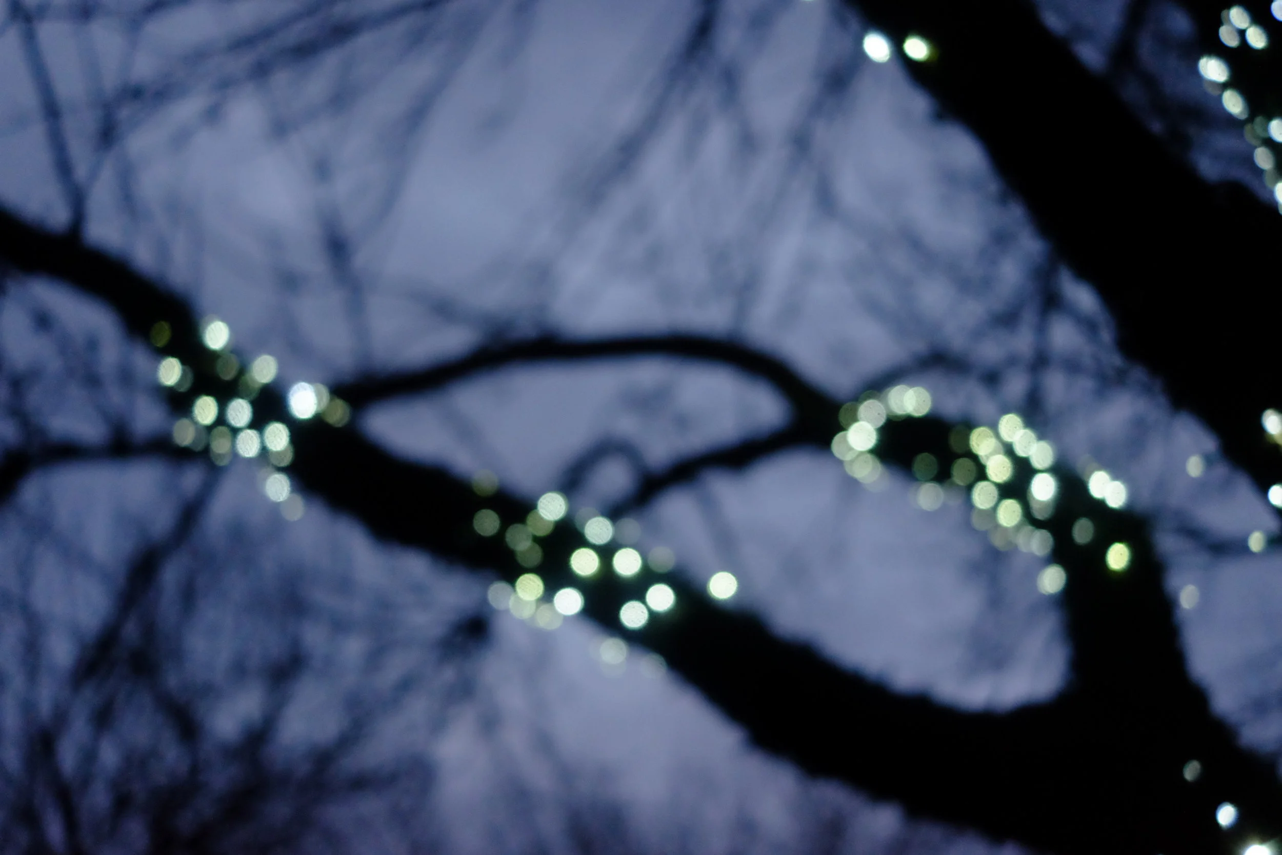 What does a soul look like? Light - A Meditation (Part 2)