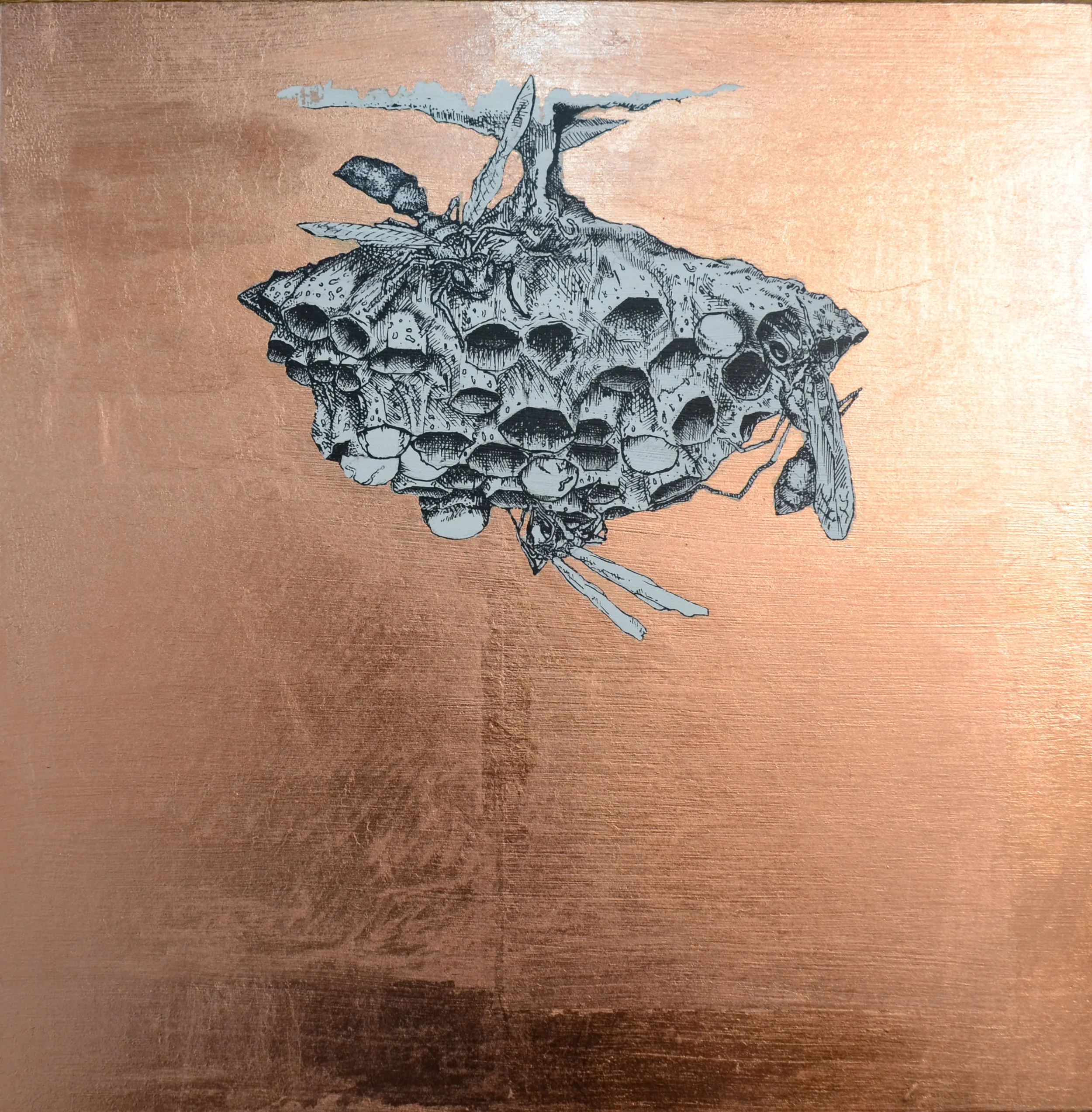 1_Wasp Nest.jpg