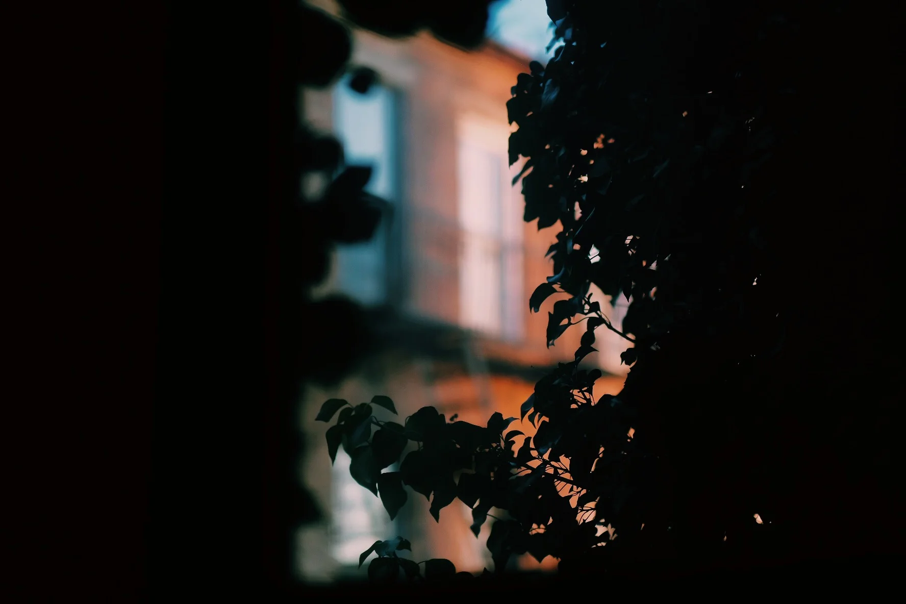 One Minute - A Meditation