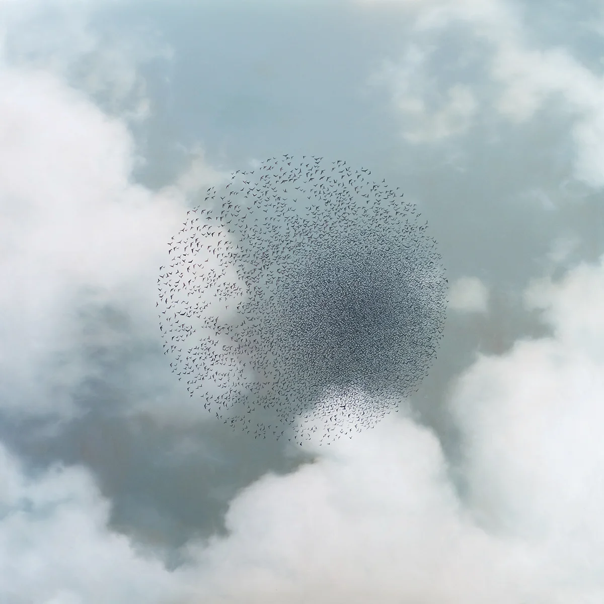 2 Convergence, oil on panel, 30%22 x 30%22 .jpg