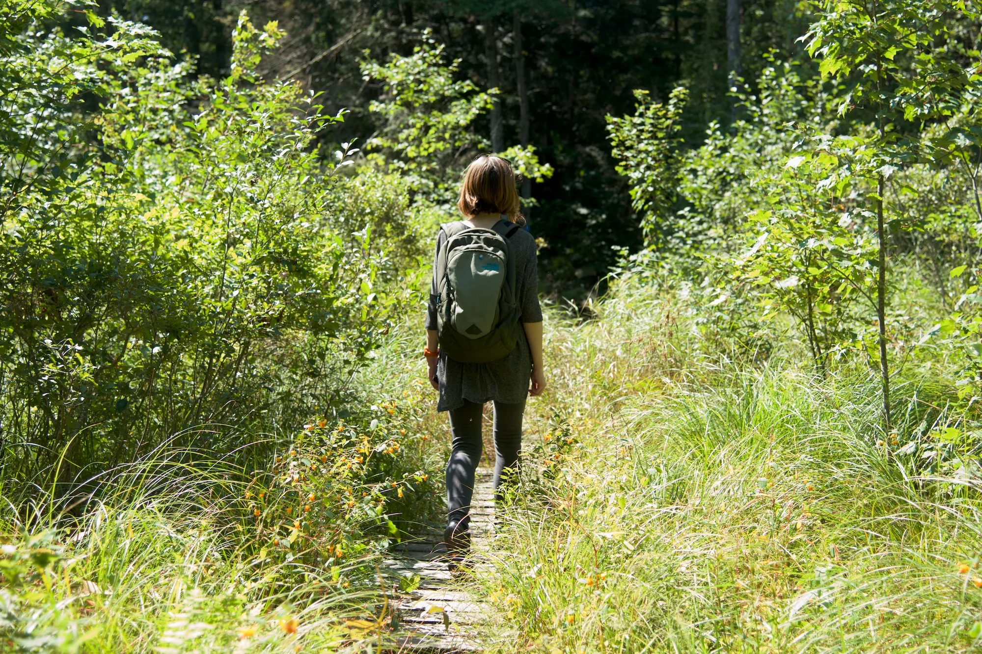 D800_23976 - North Adams.jpg