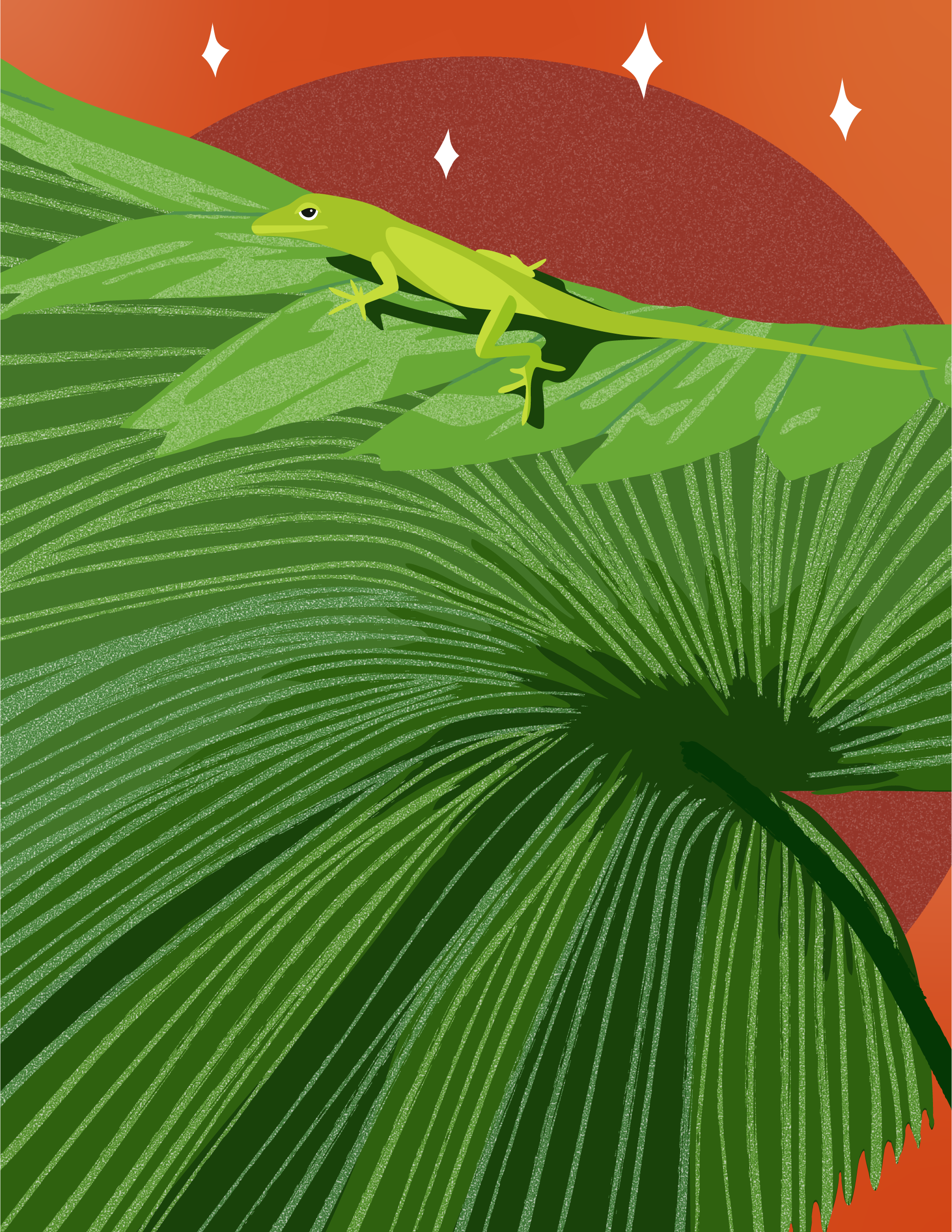 Green-Anole.png