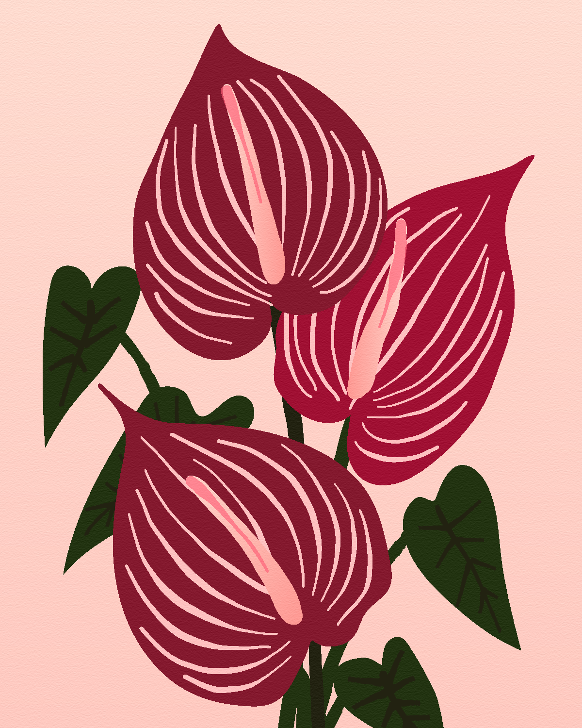 Anthurium-Safari.png