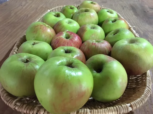 Bramley's Seedling