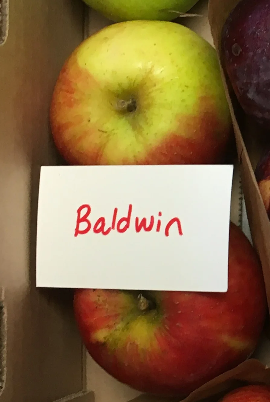 Baldwin