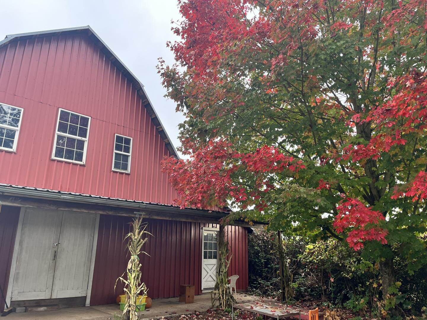 It&rsquo;s fall on the farm! Come take a stroll around the farm today. See some fall colors, pick some apples, shop our selection of apples and canned goods in the stand, and select from an array of baked goods. 

Available for u-pick this weekend: L