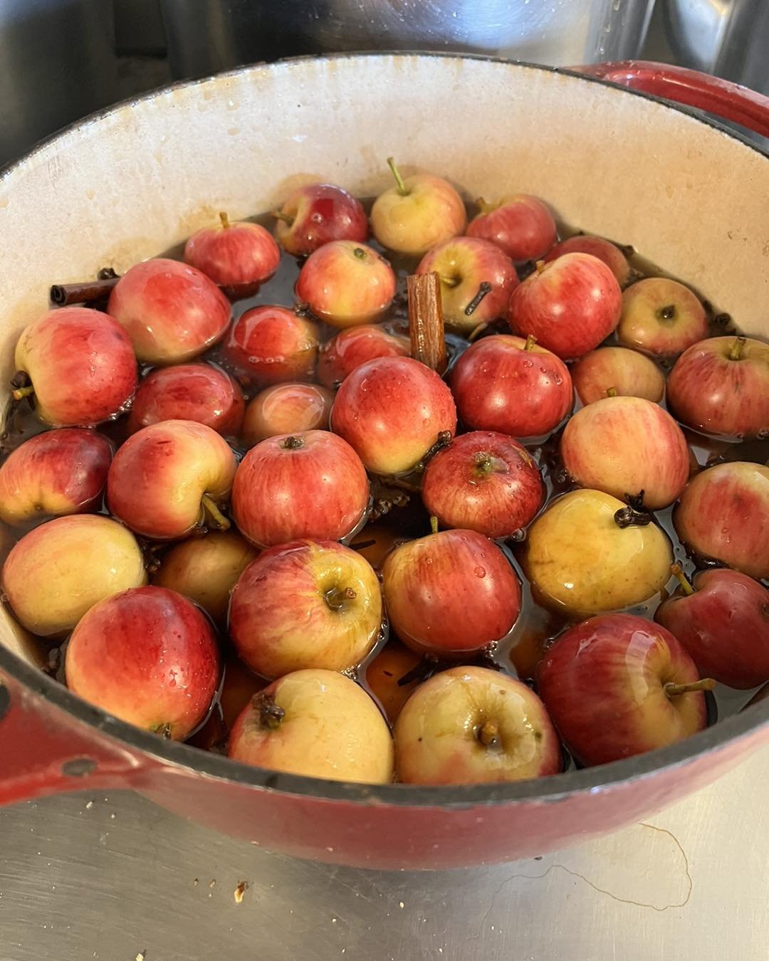 We are in a canning mood. These delicious Whitney Crab Apples make an amazing treat for the fall and winter table but the time to preserve them is now! They are an early crab apple, sweeter than many crab varieties. We just pickled some today with a 